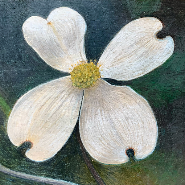 Dogwood, mixed media on panel, 8" x 8", private collection.