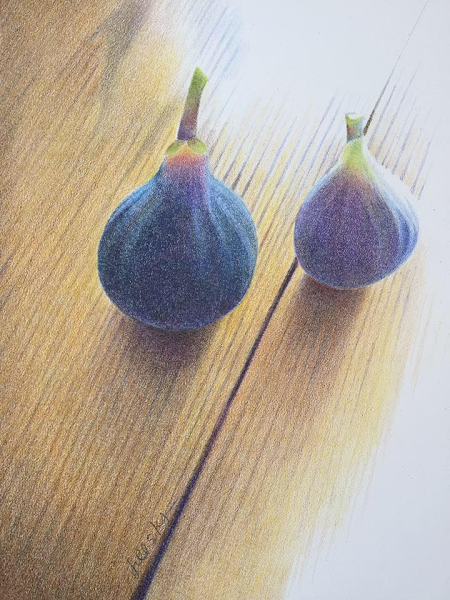Two Figs, mixed media on panel, 11" x 14", SOLD.